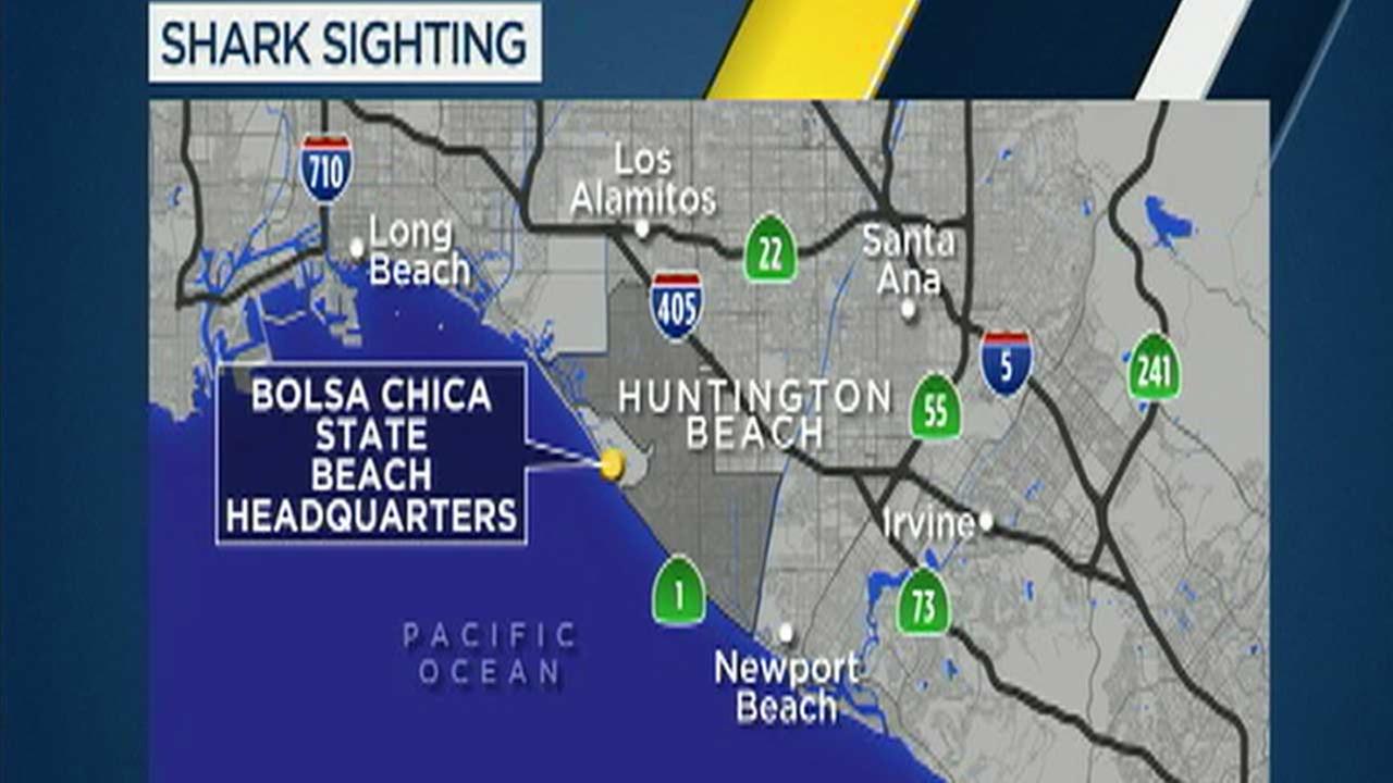 Shark Sighting Prompts Closure Of Bolsa Chica Beach Abc7 Shark Sighting Prompts Closure Of Bolsa Chica Beach