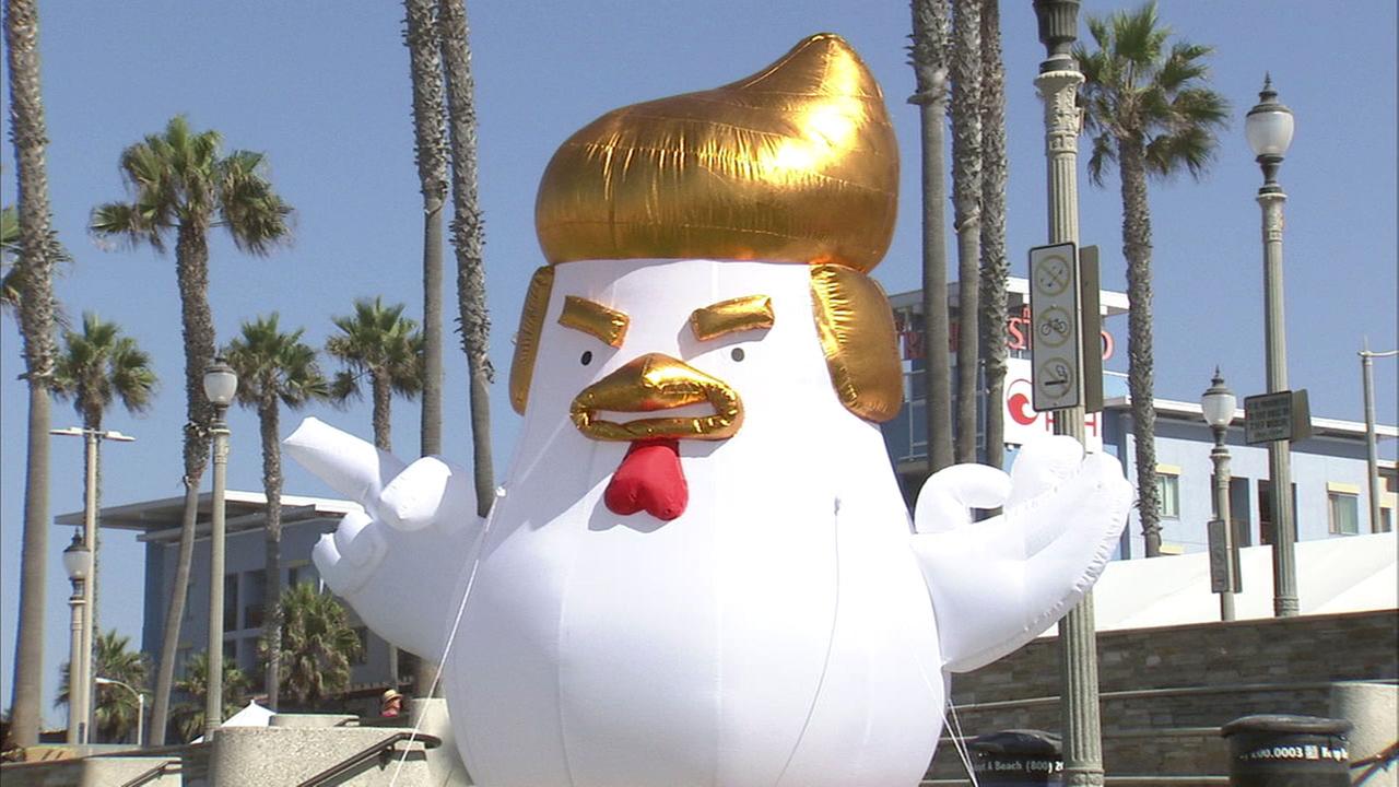 Giant Trump Chicken To Sail On San Francisco Bay Once Again