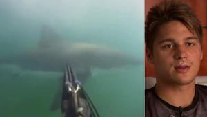 South on 101: Prehistoric sharks invade Santa Barbara, South on 101