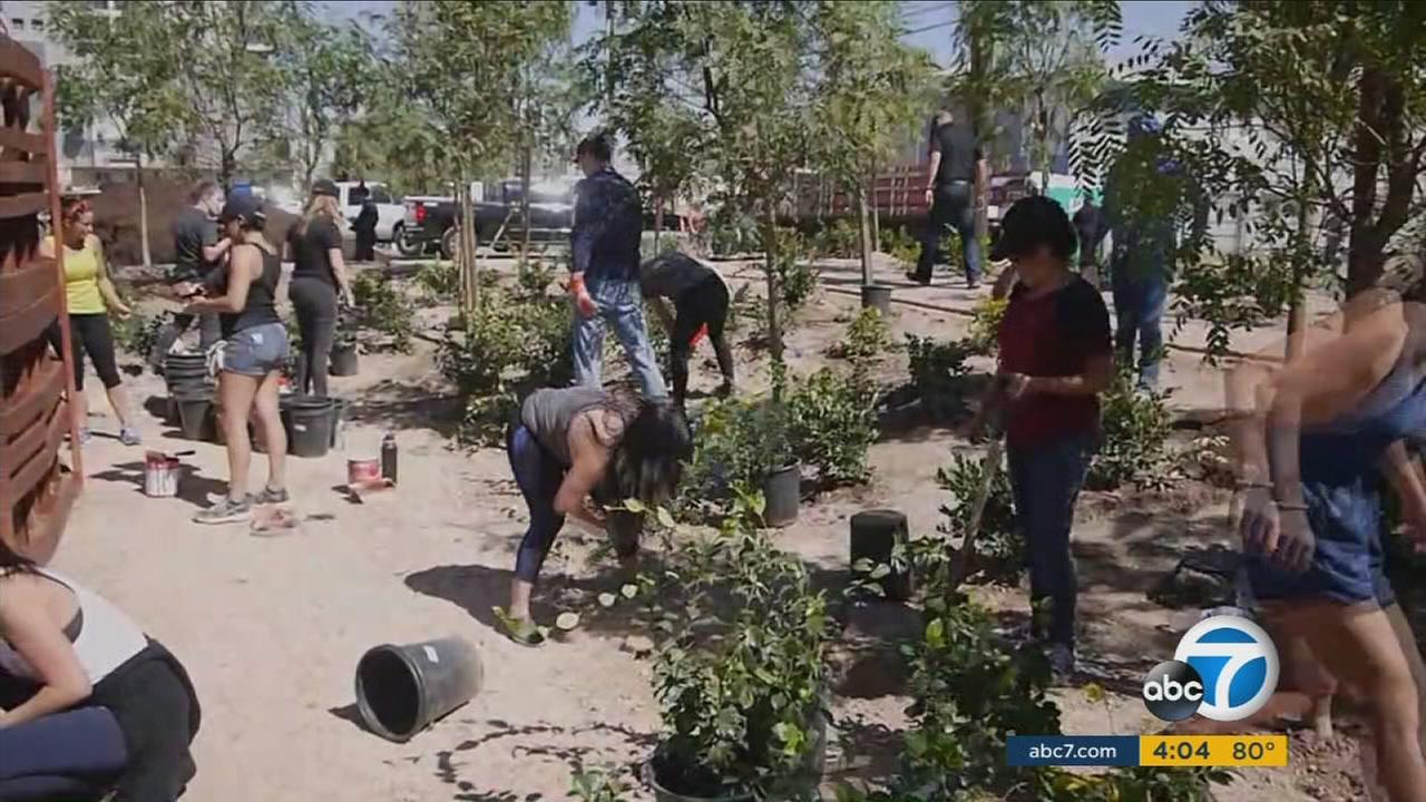 Healing Garden Being Set Up In Vegas To Honor Shooting Victims Healing Garden Being Set Up In Vegas To Honor Shooting Victims Abc7 Com