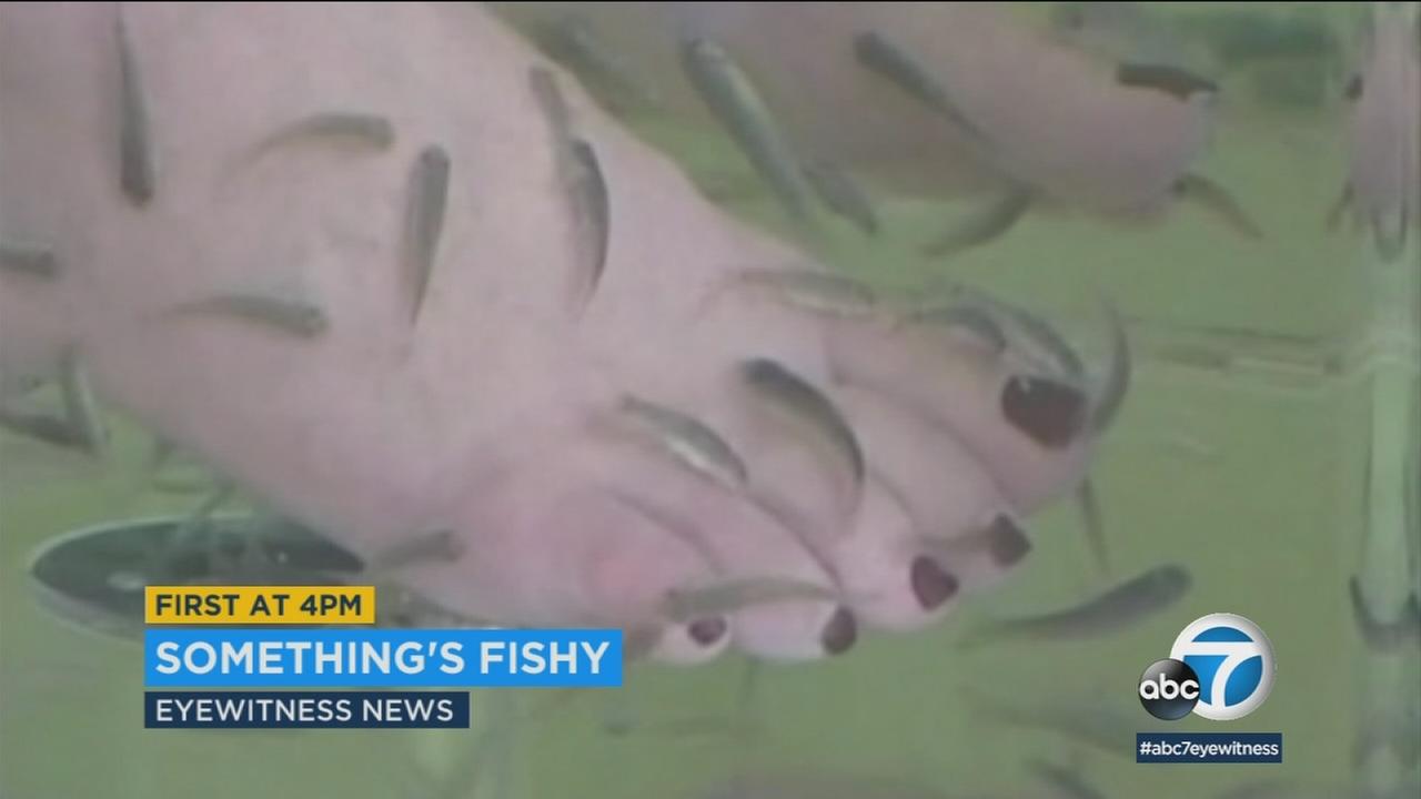 Woman's toenails fall off after fish pedicure, researchers