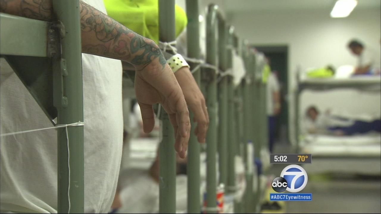 The Shocking Reality 7 Mind Blowing Facts About The Lasd Inmate Search - ej3u6p4
