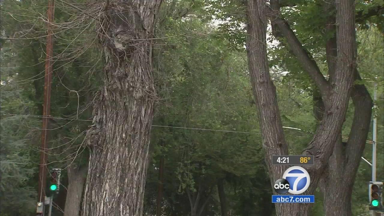 Big Bear Lake feels impact of California drought