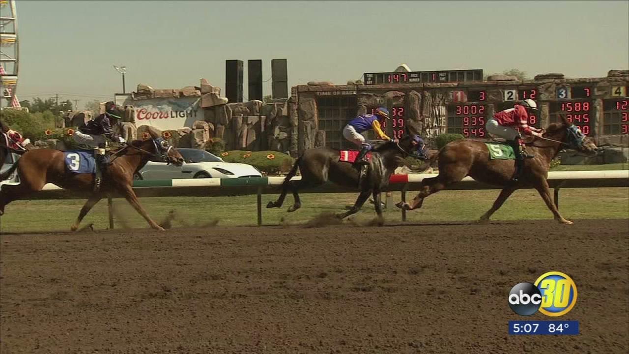 Packed grandstand for horse races at Big Fresno Fair | abc30.com