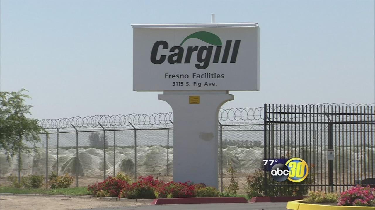 Fresno beef processing plant Cargill using Tesla technology to save on