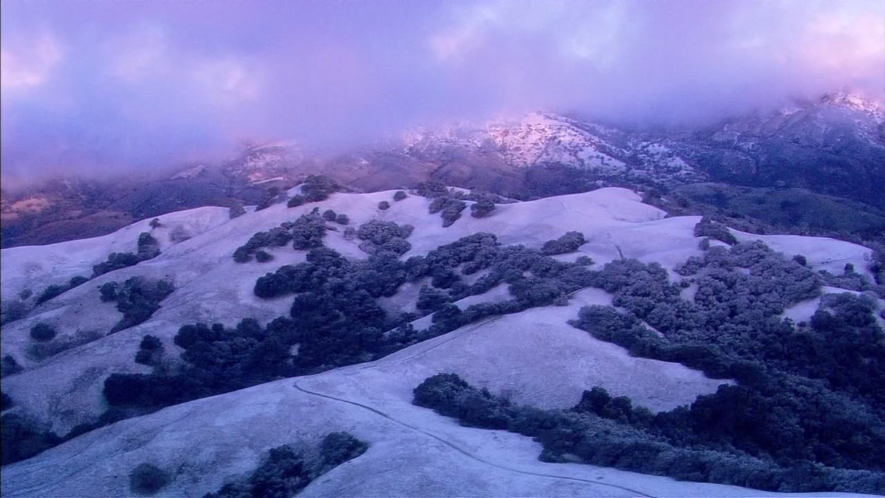 VIDEO A rare sight in the Bay Area snowcovered hillsides and