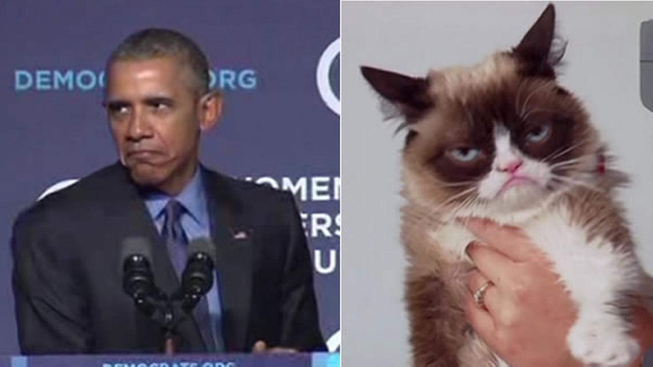 President Obama does hilarious impression of Grumpy Cat when asked