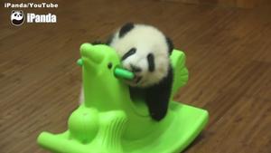 panda ride on toy