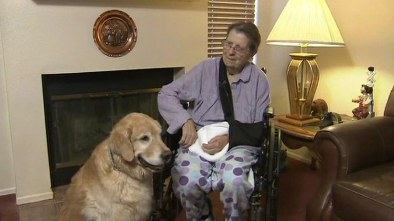 Elderly woman with Parkinson's credits dogs with saving ...
