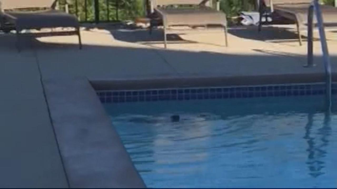 Favorite quotes from Disney movies that are surprisingly profound