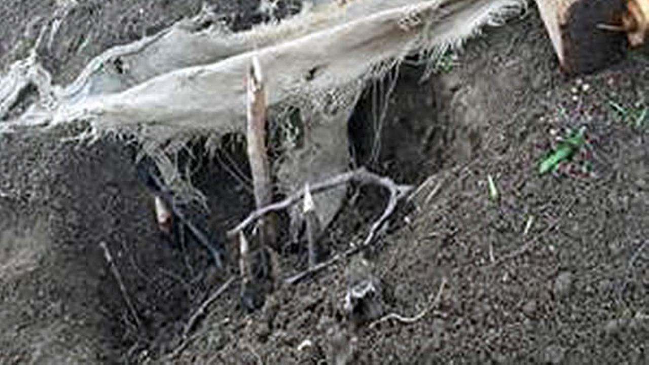 Booby trap found in San Jose resembles ones used in Vietnam War