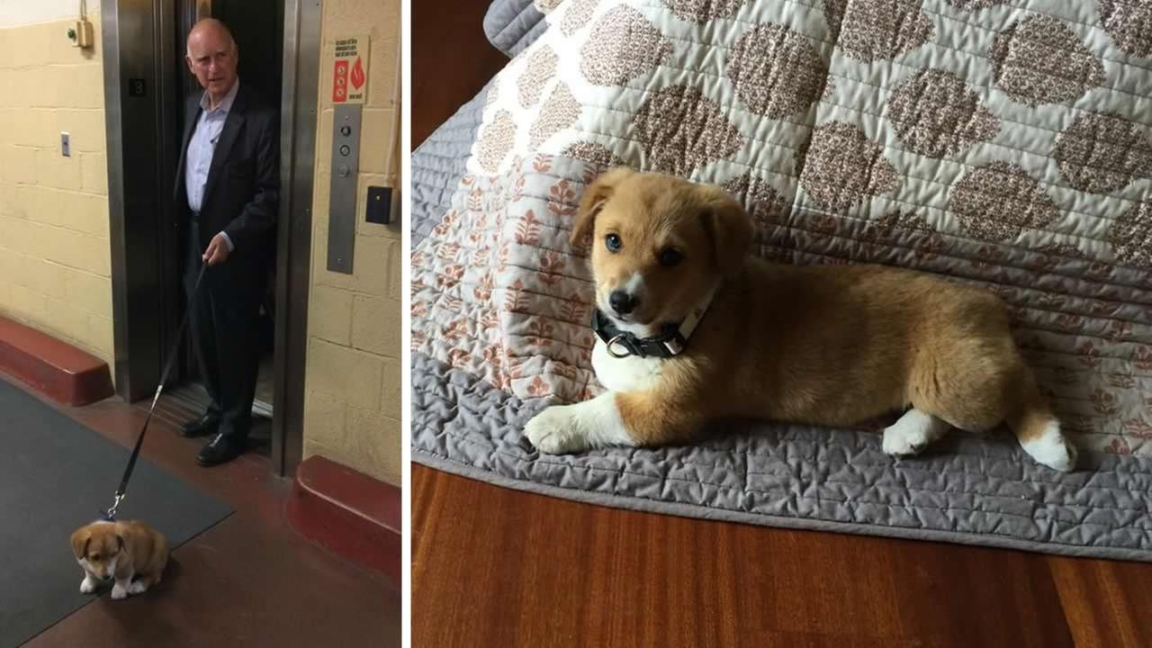 2019 year - Maya Sondhi 2019 year