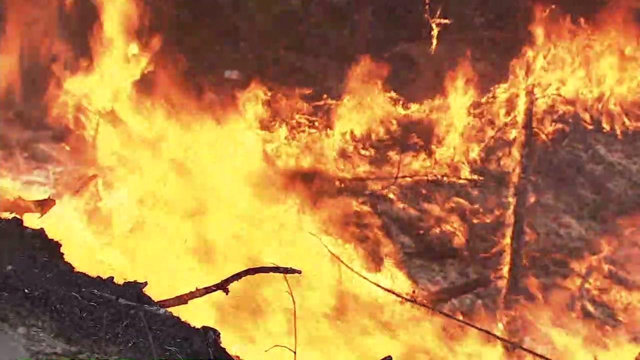 California wildfire declared 'largest in state's history'