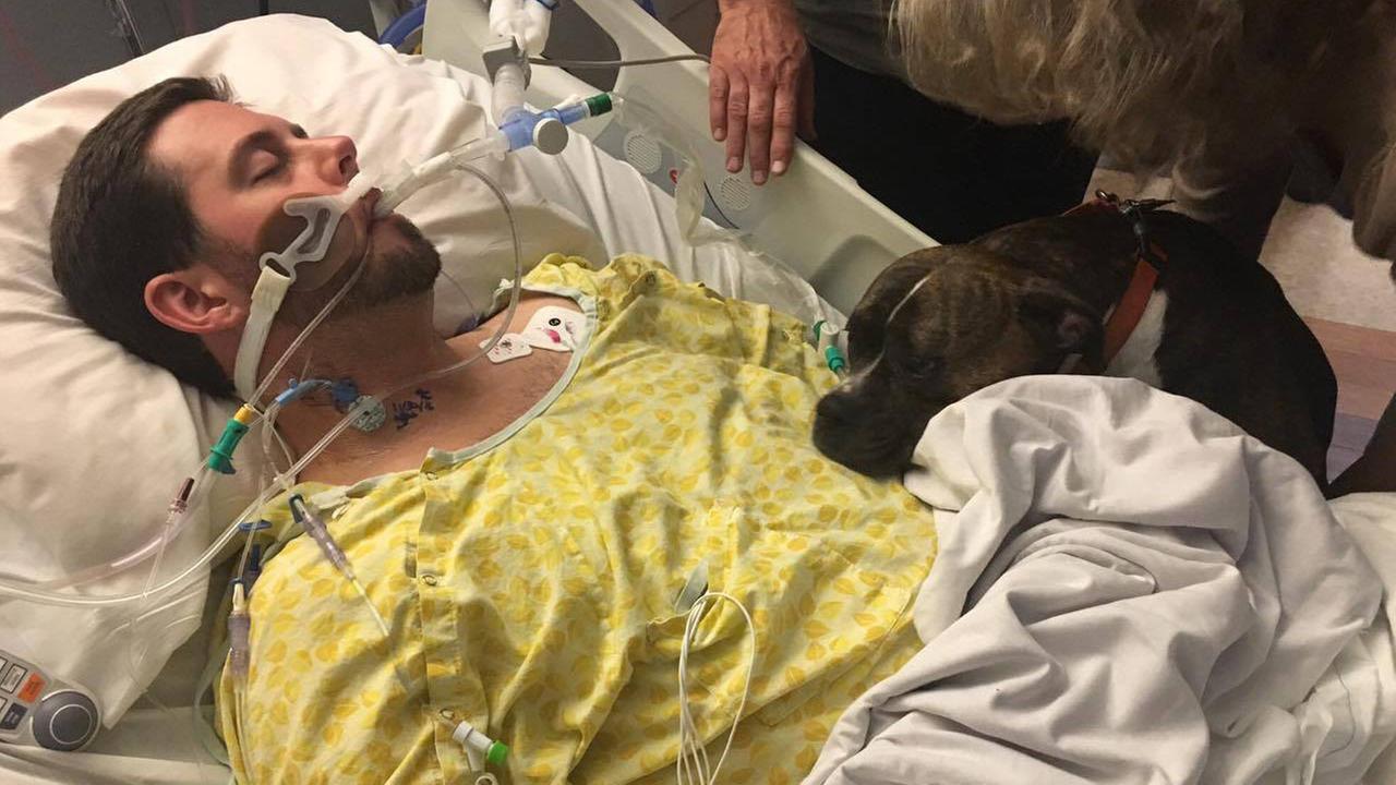 Dog visits hospital to say goodbye to her dying owner
