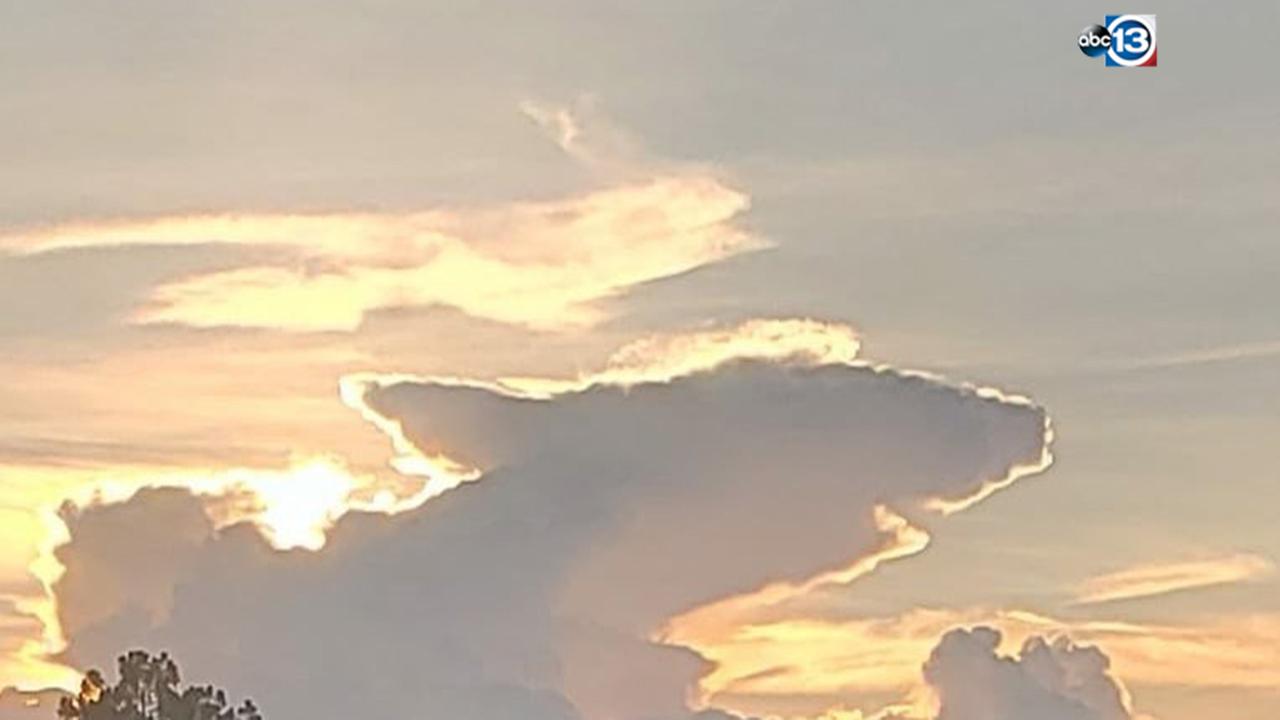 Houston area man spots cloud shaped as shark on his drive back from Florida