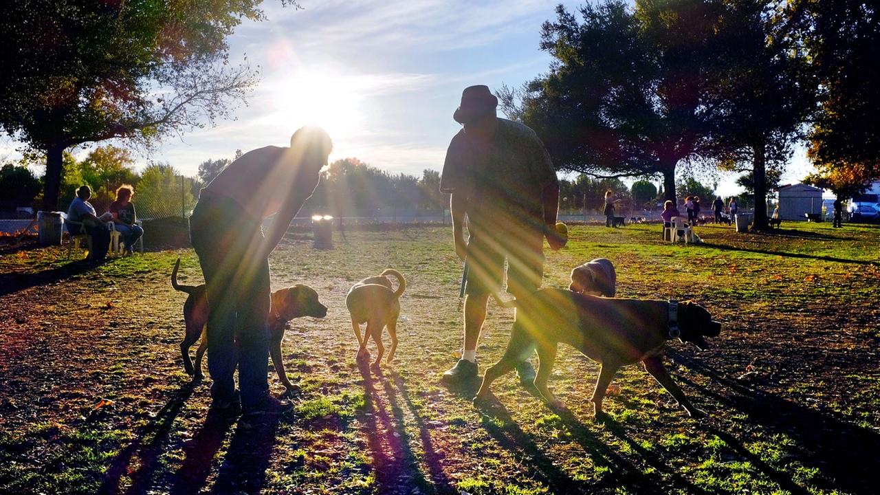 Your Friday Faves: Houston's Top 10 Dog Parks | abc13.com