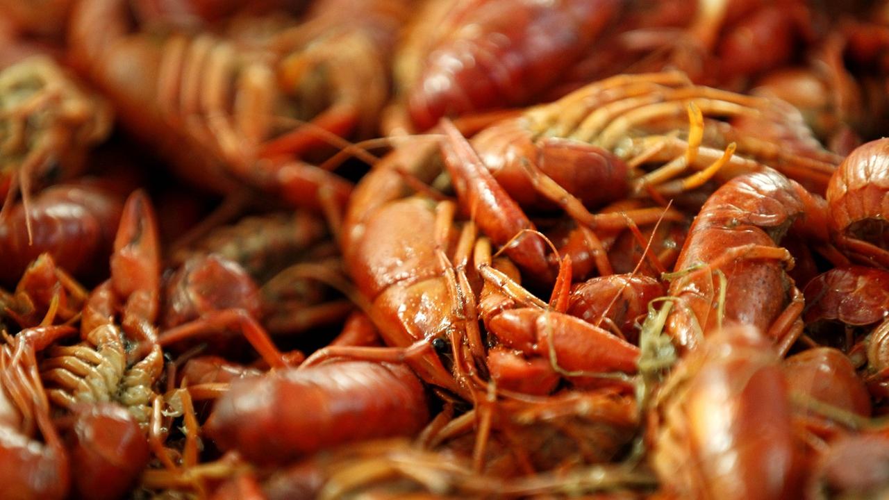 Here's where you can get crawfish before Thanksgiving in Houston