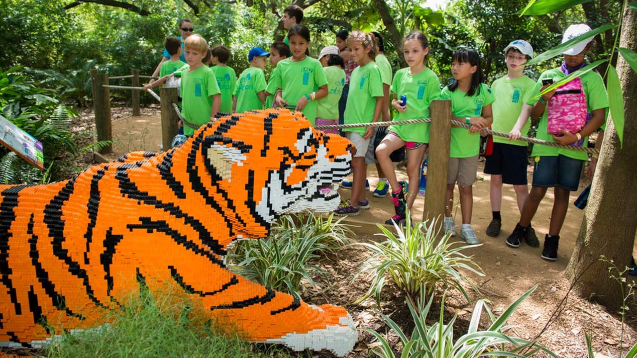 Register your animal lover kids for summer camp at the Houston Zoo