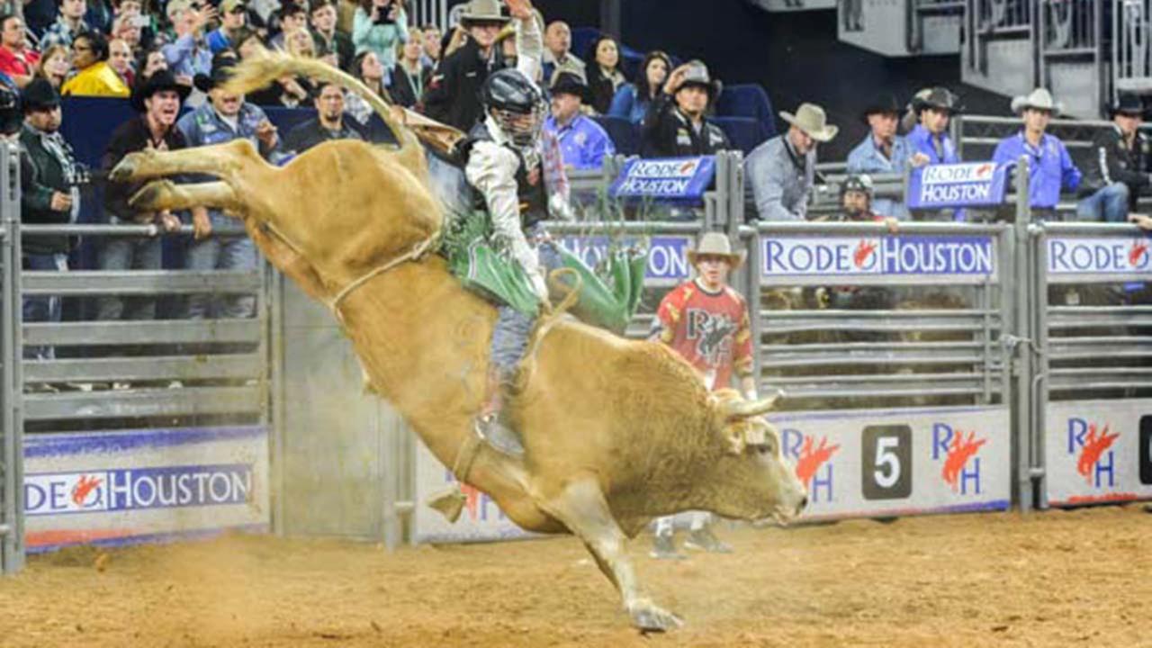 New attendance record set at Houston Livestock Show & Rodeo