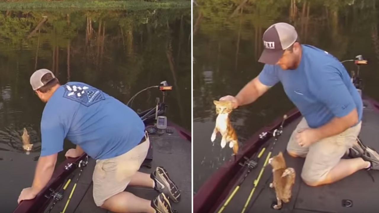 Two guys go fishing in Alabama, catch a pair of orange tabby kittens