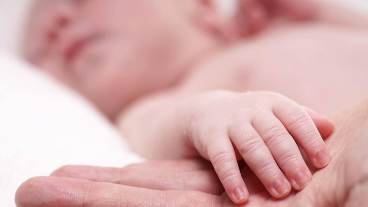2019 year - Paid Maternity Leave is Safer for Babies 2019 year