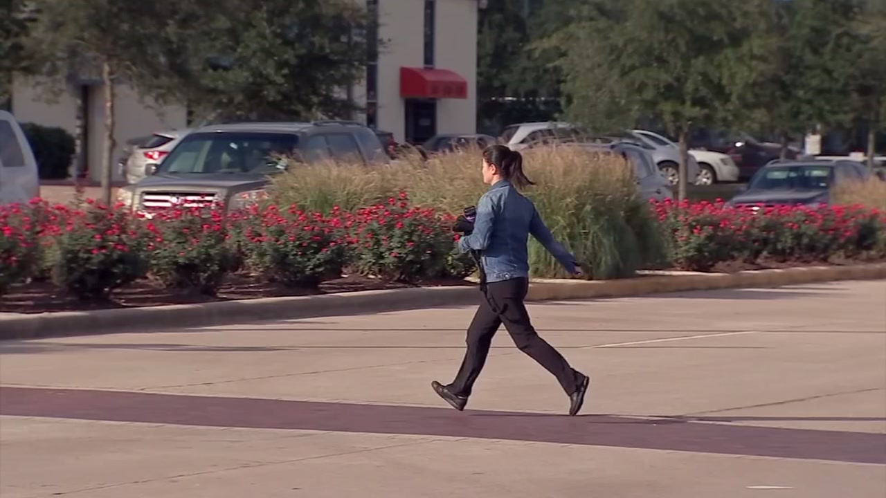 Eyewitness News reporter and anchor Elissa Rivas