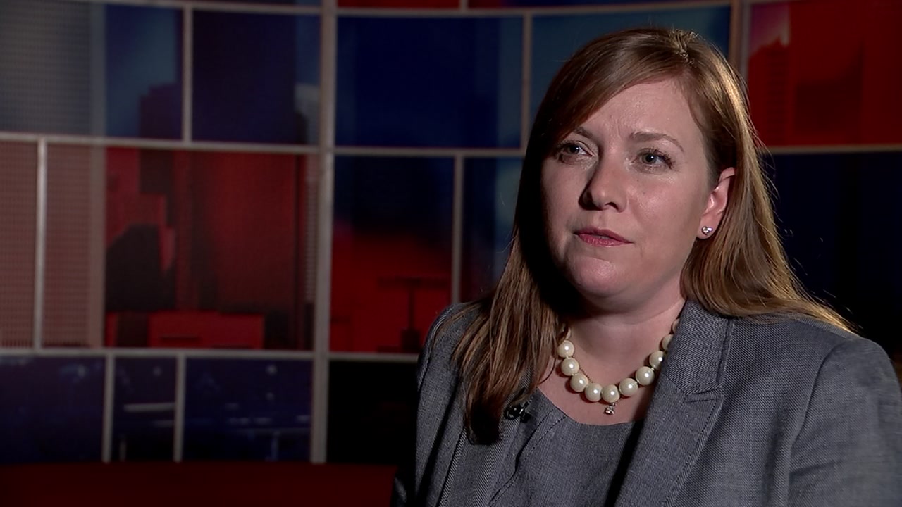 Congresswomanelect, Lizzie Fletcher, talks about the tough election