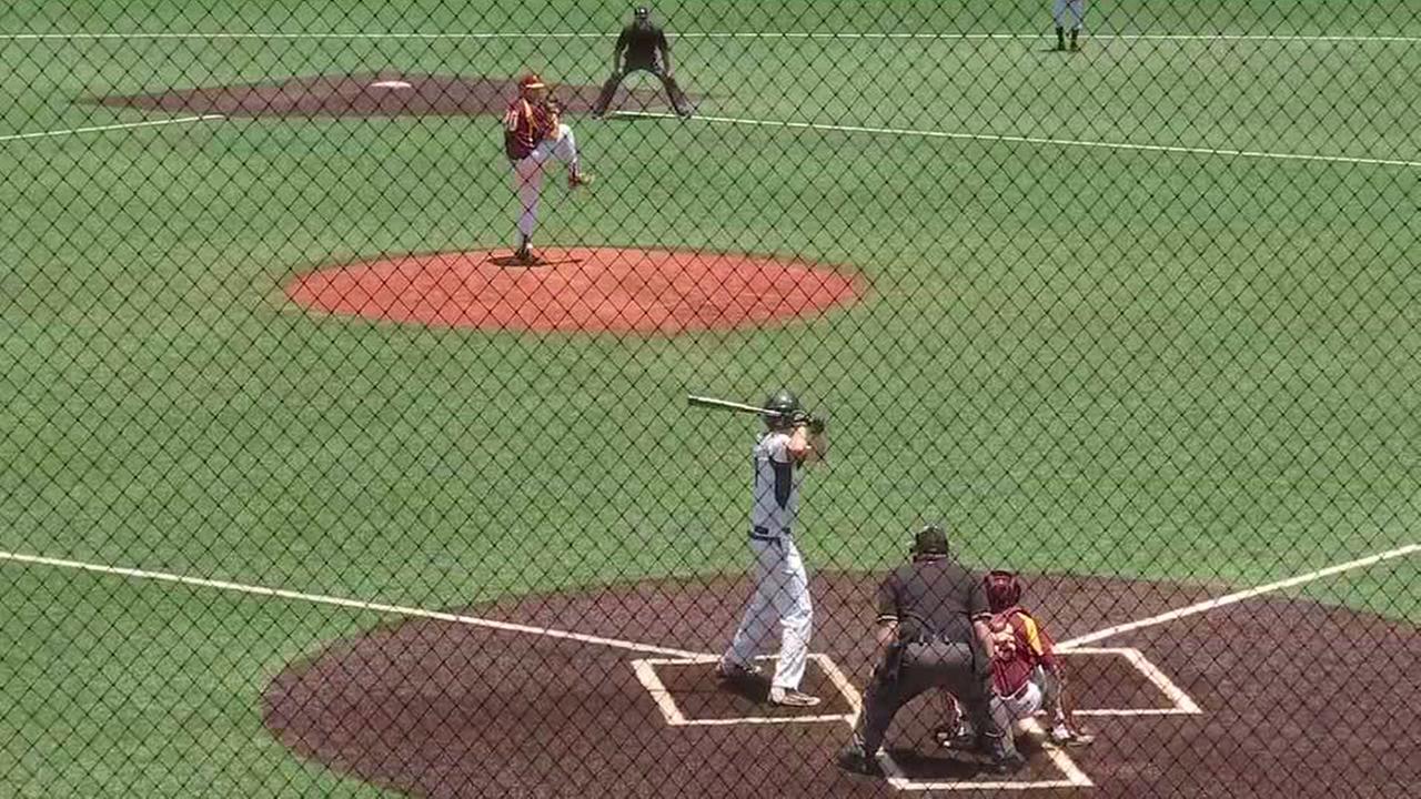 Deer Park advances in HS baseball playoffs | abc13.com