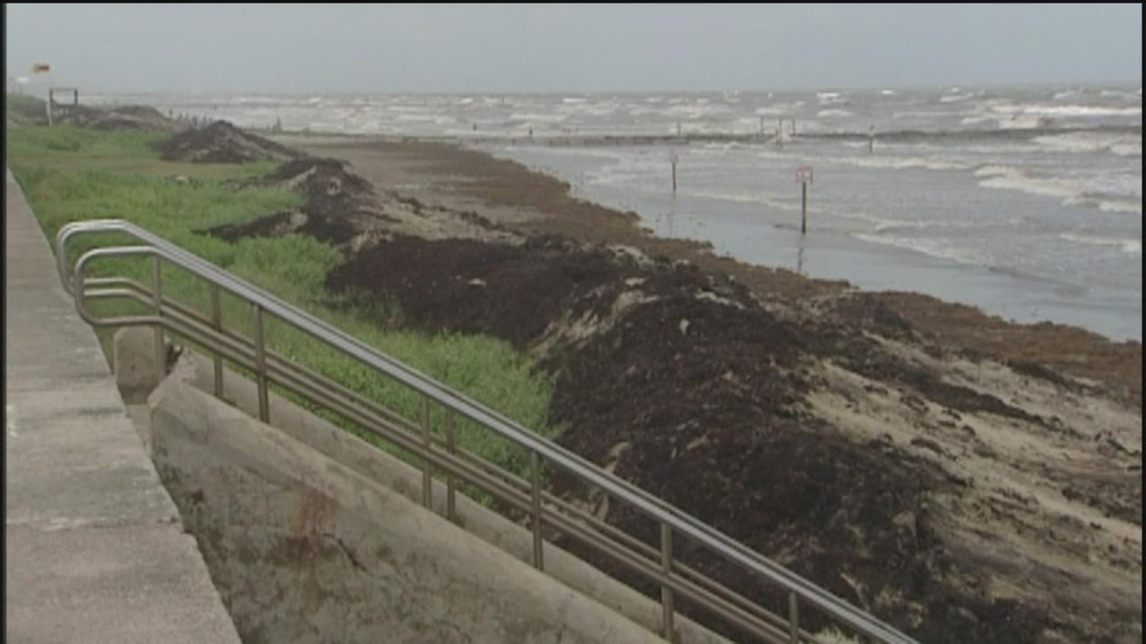 Galveston researchers tackle stinky seaweed problem