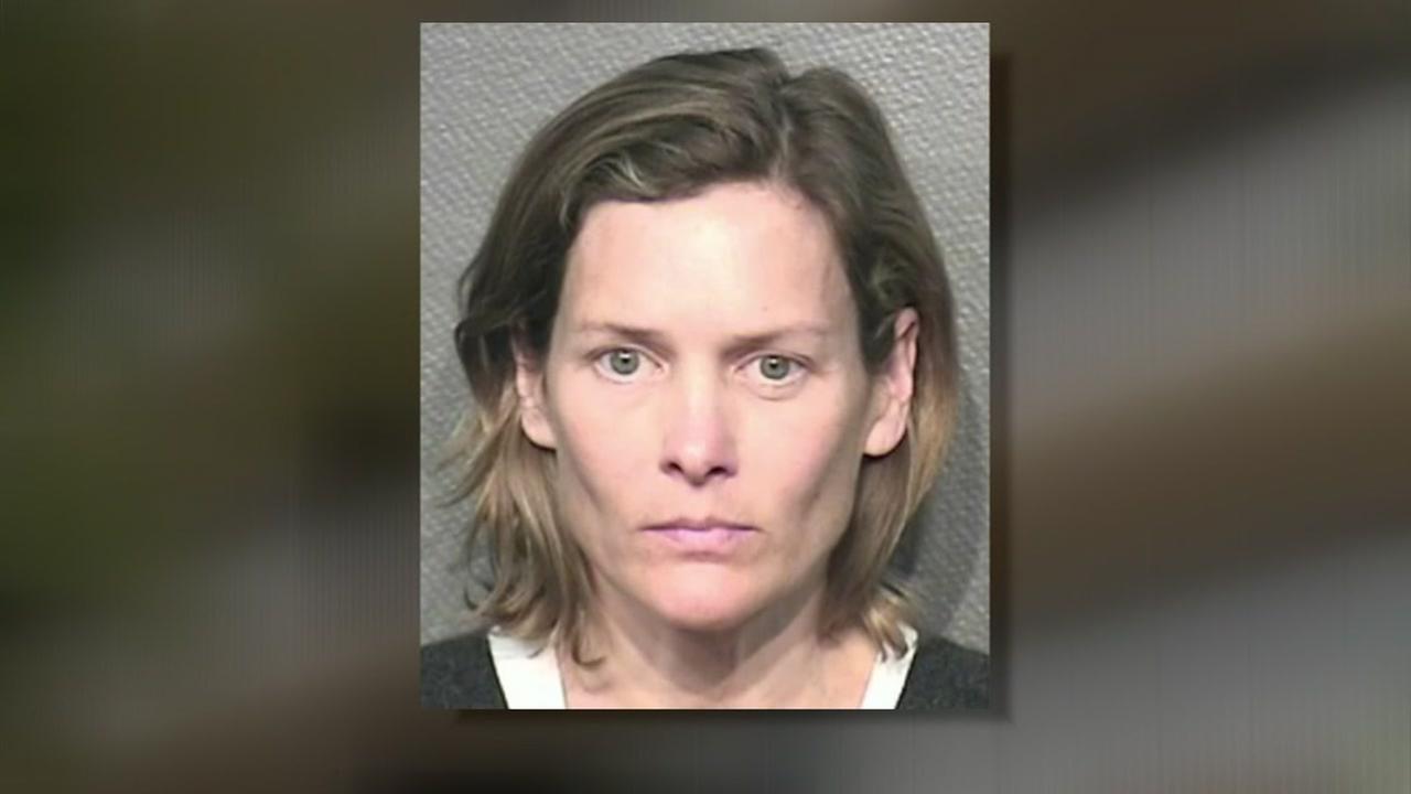 Murder-for-hire suspect pens note before deadly leap off ...