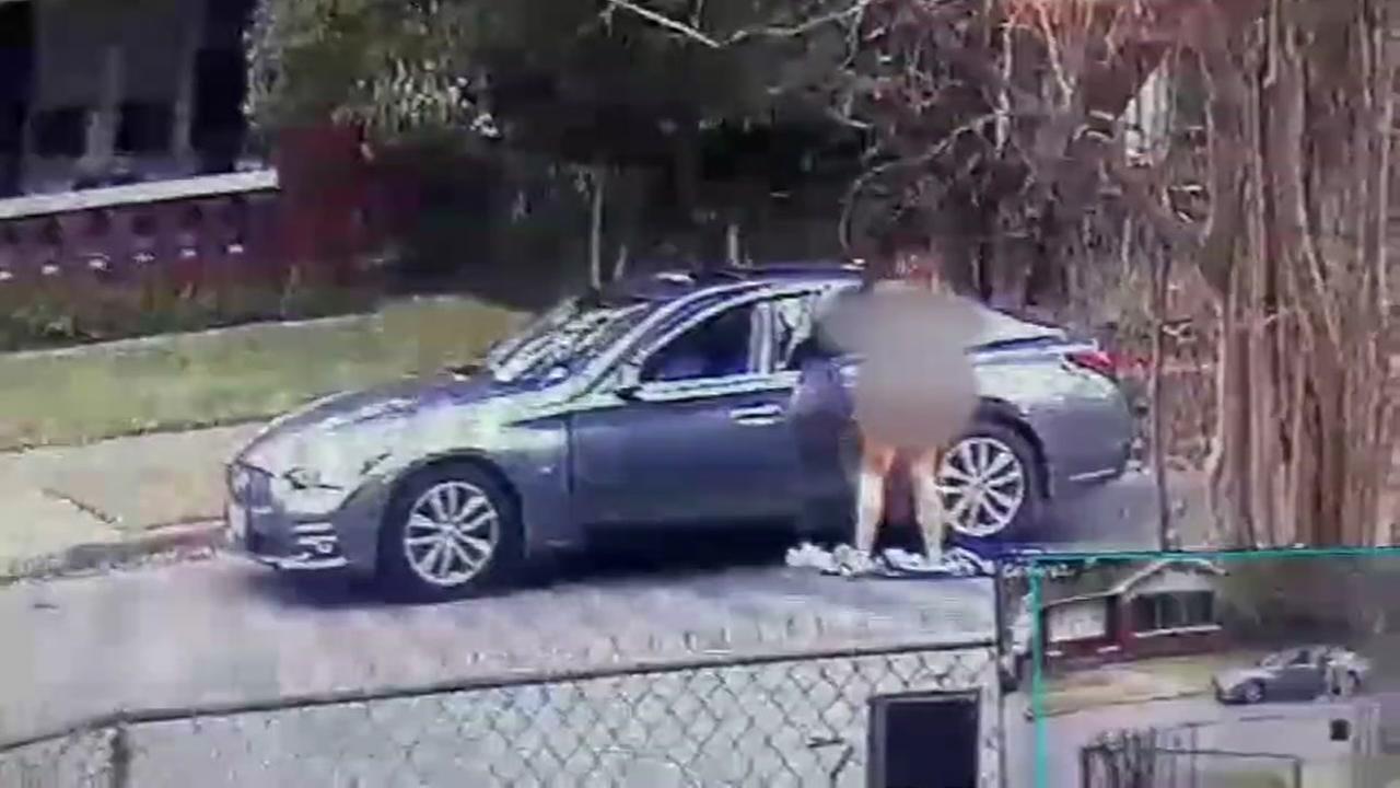 Man strips naked, climbs on top of car and starts stabbing 