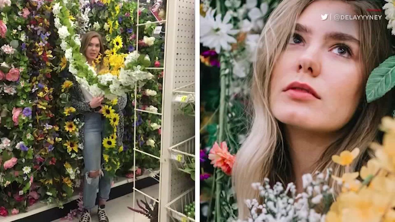 Not Picture Perfect Hobby Lobby Photo Challenge Is Frustrating