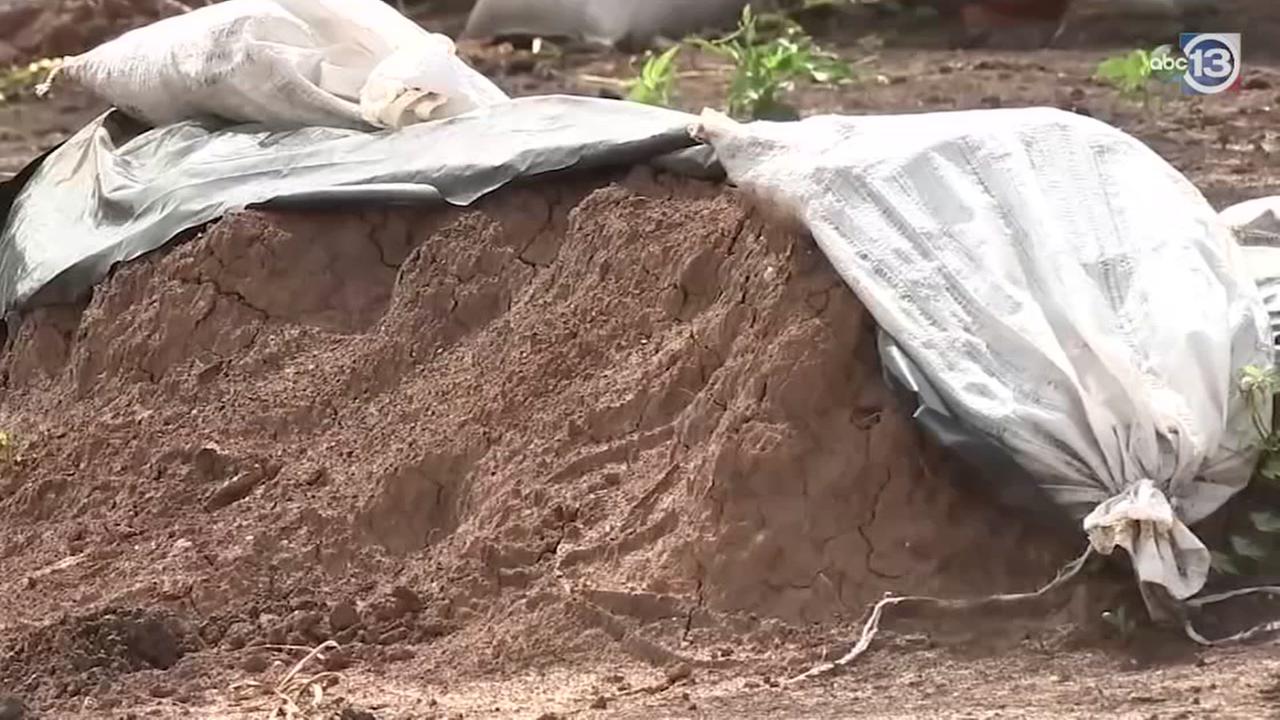 Dozens of bodies discovered at construction site