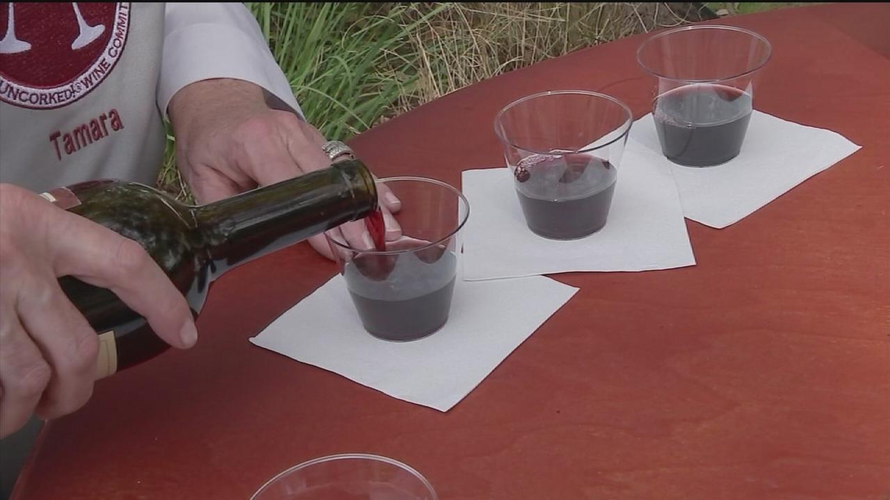 Cheap vs. expensive wine Can you taste the difference?