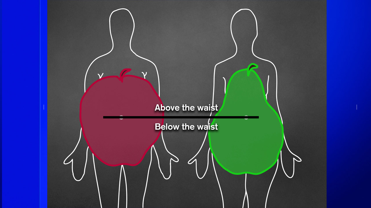 Body Shapes and How They Impact Your Health