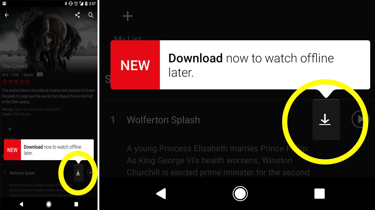 Finally! You can now download Netflix shows and movies to