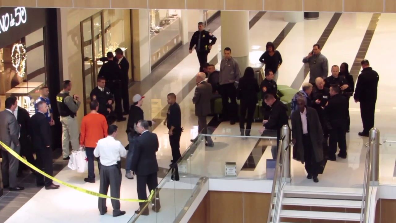 Roosevelt Field Mall shooting suspect due back in court next month
