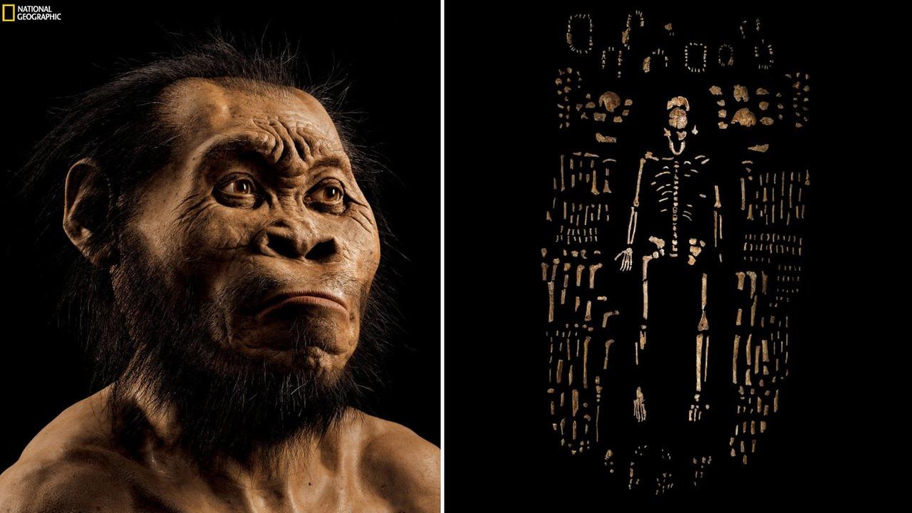 Bones In South African Cave Reveal New Bizarre Human Ancestor Named   977156 1280x720 