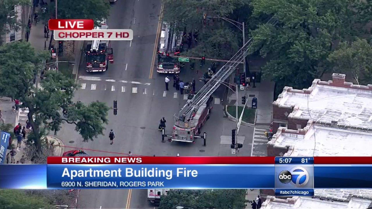 Rogers park news yesterday picture