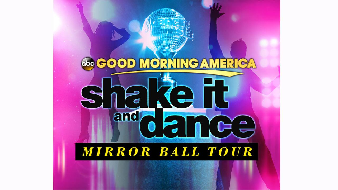 Meet the new cast of 'Dancing with the Stars!'