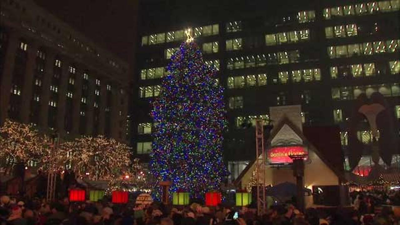 City of Chicago accepting official Christmas tree nominations