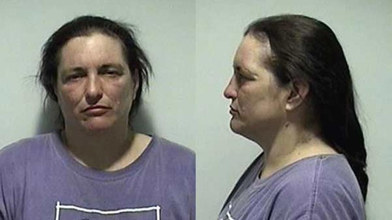 Batavia woman charged after 3 dogs die