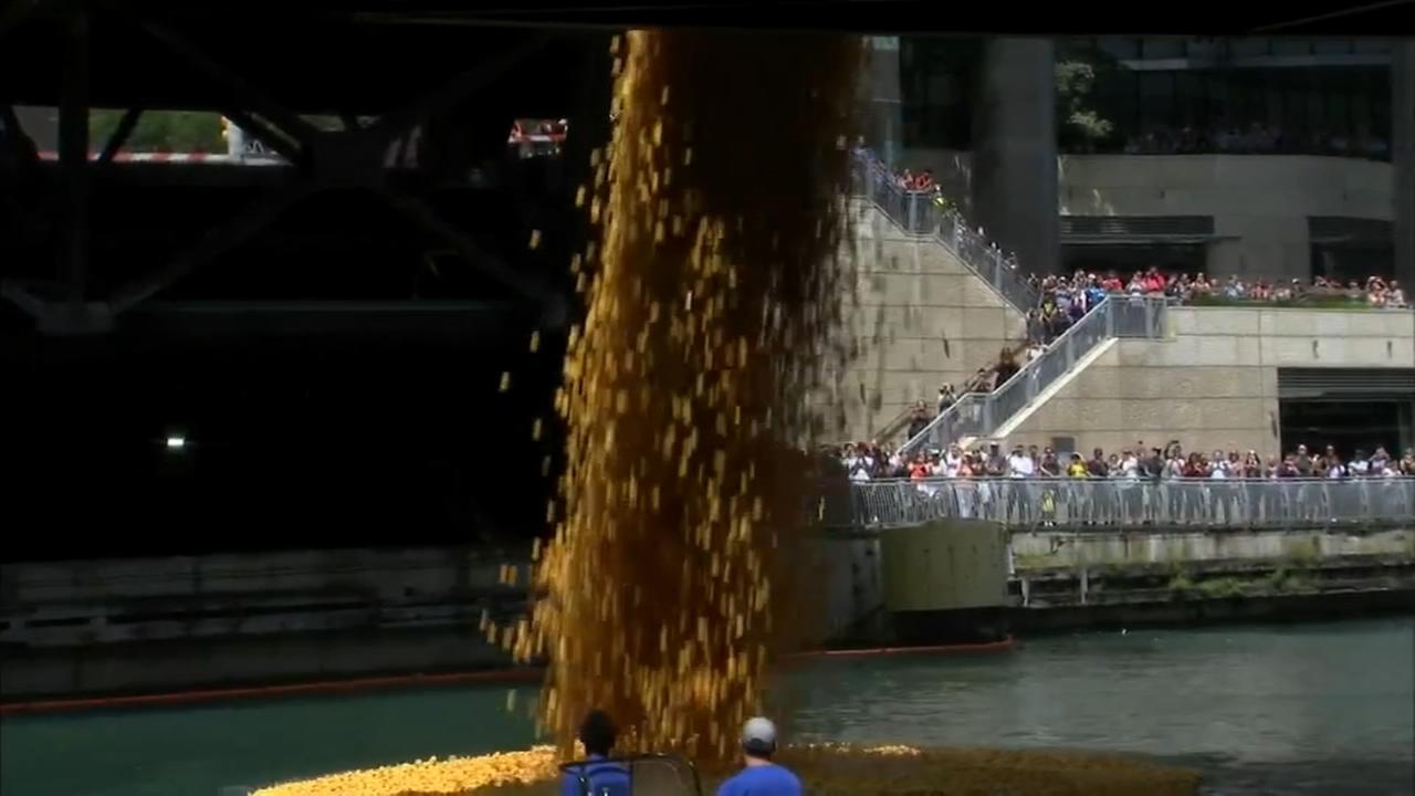 Thousands of rubber ducks float down Chicago River