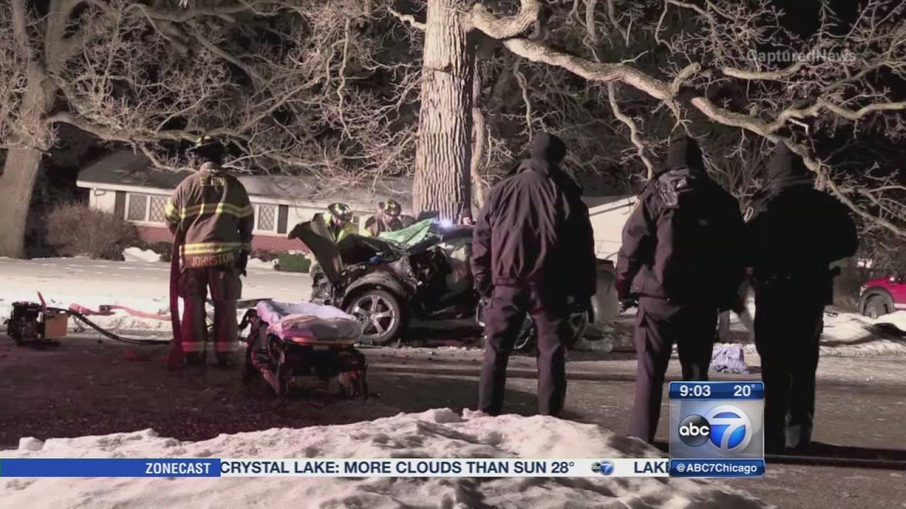 2 dead in Elgin car crash