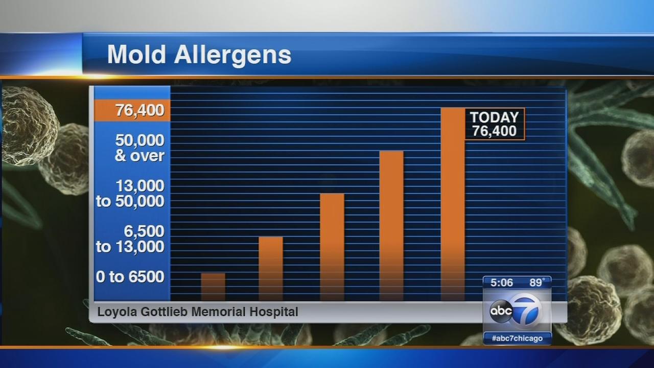 Traffic School To Go >> High mold counts in Chicago area aggravate allergy ... Traffic School To Go >> High mold counts in Chicago area aggravate allergy ...