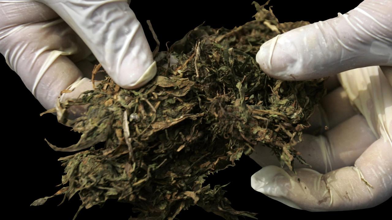 Report: Medical marijuana use up 80 percent in Illinois