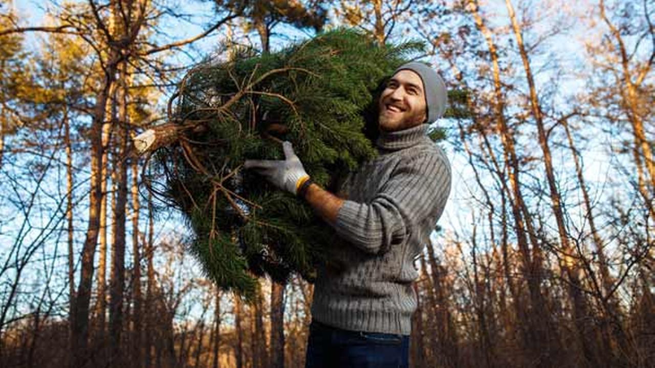 Philadelphia Streets Department announces Christmas tree recycling