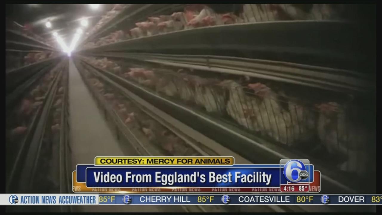 Malvern Borough news