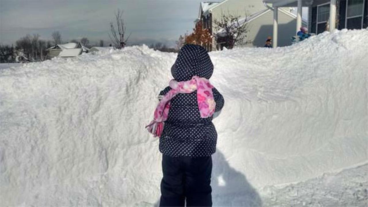 annual snowfall buffalo new york