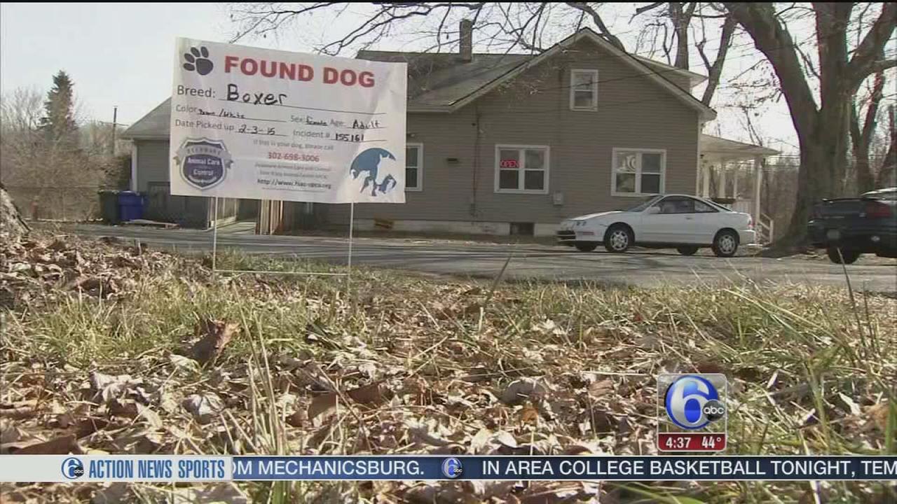 Delaware program hopes to reunite lost dogs with their owners